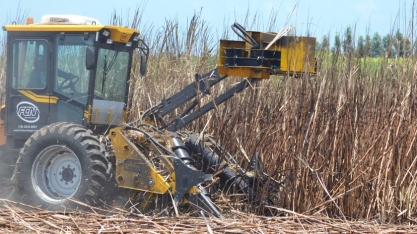 Safra entra na reta final; expectativa é moer 20,8 mi toneladas de cana