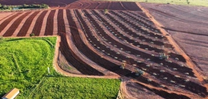 Setor Agrícola realiza diversas ações para a Safra 2024