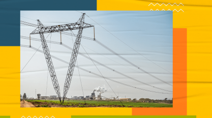 Você sabia que a cana-de-açúcar pode gerar energia elétrica? Entenda como!