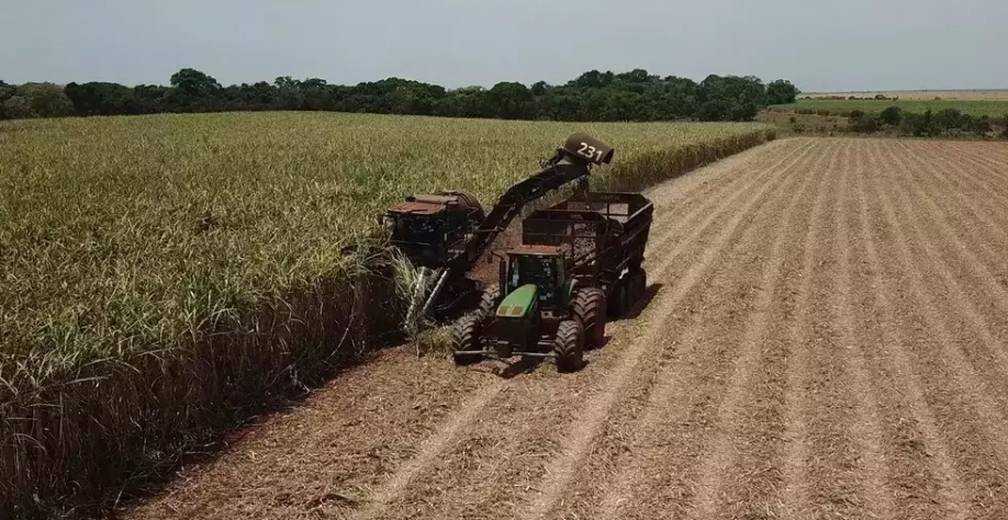 (Foto: Reprodução/Arquivo) 