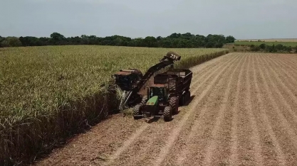 Produção agrícola sul-mato-grossense deve faturar R$ 55,78 bilhões em 2023