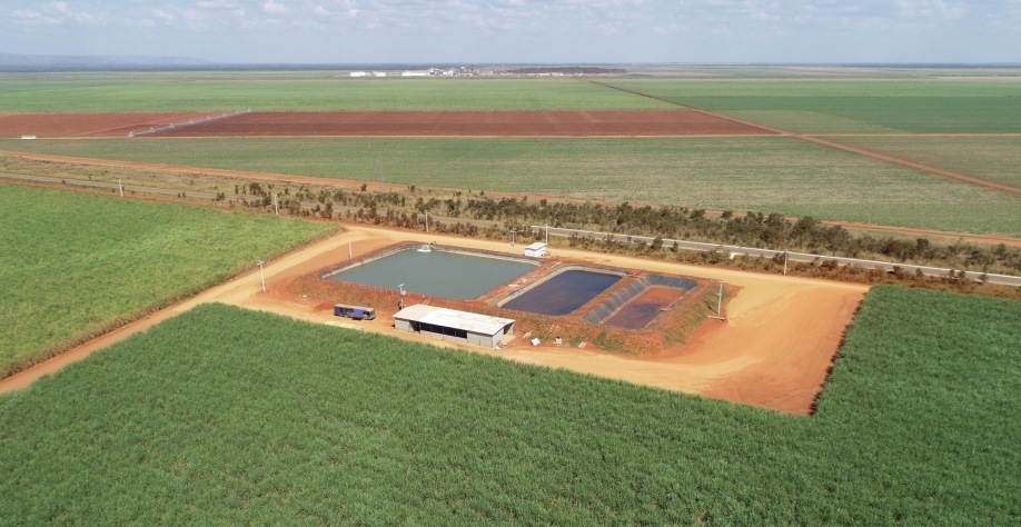 Irrigação por gotejamento diminui pegada de carbono, melhora as notas de eficiência energética-ambiental e incrementa geração de CBIOs. Foto: Divulgação Netafim