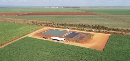 Estudo realizado pelo Pecege Projetos e Consultoria aponta que uso de irrigação por gotejamento aumenta a produtividade e, consequentemente, a quantidade de CBIOs emitidos