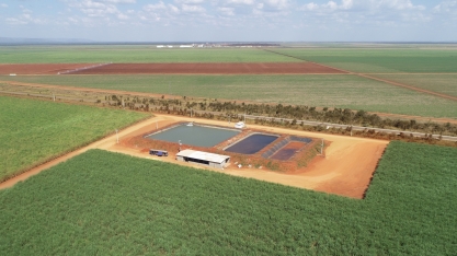 Estudo realizado pelo Pecege Projetos e Consultoria aponta que uso de irrigação por gotejamento aumenta a produtividade e, consequentemente, a quantidade de CBIOs emitidos