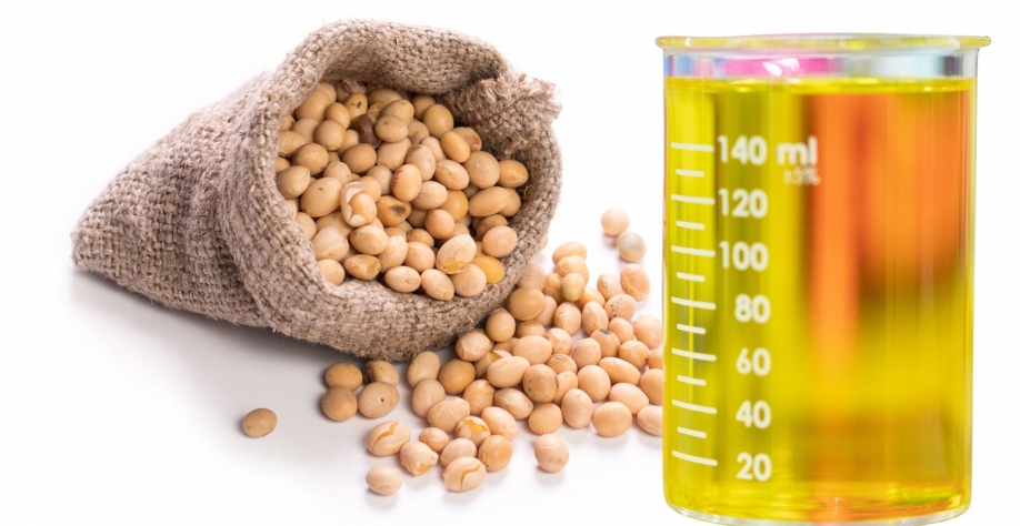 Fonte: canva agromais 