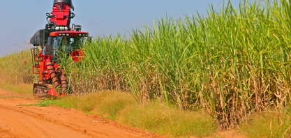 Moagem de cana no Norte/Nordeste registra aumento de 14,1% no acumulado até 15 de maio