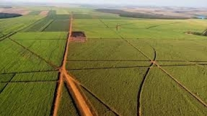 Rotação de cultura, adubação orgânica e manejo biológico garantem maior produtividade e sustentabilidade na Raízen