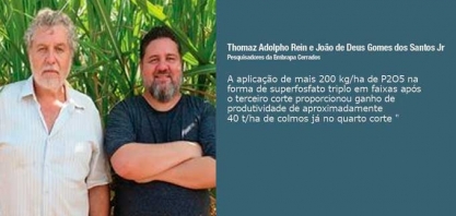 Cana-de-açúcar na região do Cerrado brasileiro manejo da adubação fosfatada