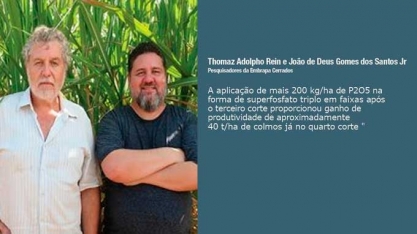 Cana-de-açúcar na região do Cerrado brasileiro manejo da adubação fosfatada