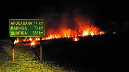 Incêndios podem causar perdas irreparáveis ao solo