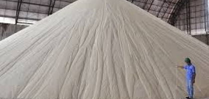 Sucden vê congestionamento nos portos limitando escoamento do açúcar brasileiro