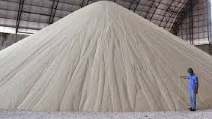 Sucden vê congestionamento nos portos limitando escoamento do açúcar brasileiro