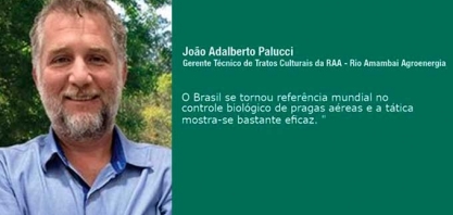Utilização de bioinsumos