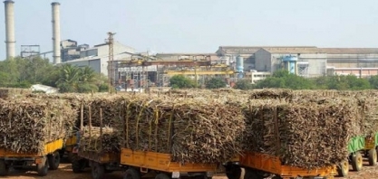 Produção de açúcar da Índia deve totalizar 36 mi de t em 2023/24 – USDA