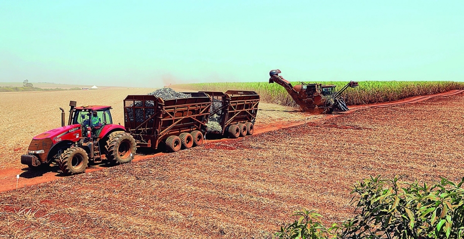 A fabricação de açúcar e etanol será ampliada, conforme projeções da Siamig, com a colheita da maior safra canavieira de Minas Gerais | Crédito: Paulo Whitaker/Reuters