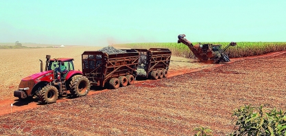 Produção de cana-de-açúcar vai bater o recorde em Minas Gerais