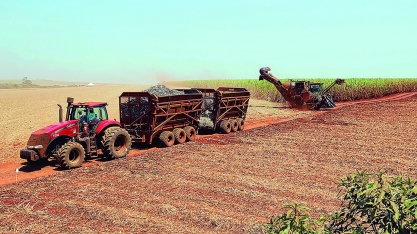 Produção de cana-de-açúcar vai bater o recorde em Minas Gerais