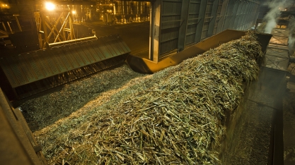 Moagem avança no Centro-Sul e totaliza 43,98 milhões de toneladas na 1ª quinzena de maio