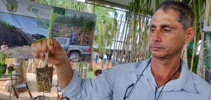 “Virada de chave”, diz produtor de cana sobre parceria com Instituto Agronômico