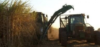 Nosso Campo mostra a evolução das exportações do agro em SP