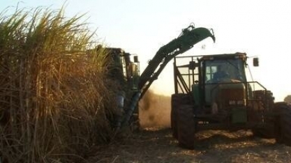 Nosso Campo mostra a evolução das exportações do agro em SP
