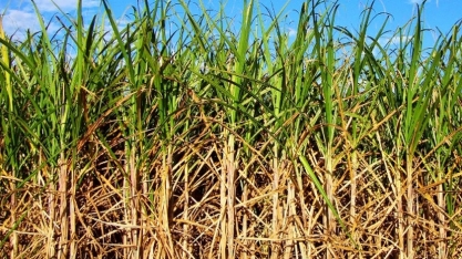 Em abril ATR tem crescimento de 4,1%