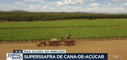 Mais álcool no mercado: super safra de cana de açúcar