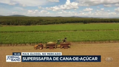 Mais álcool no mercado: super safra de cana de açúcar