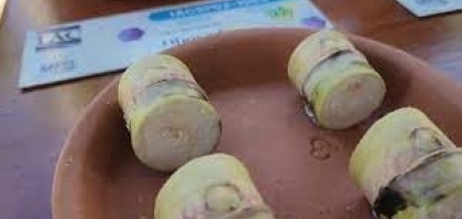 IAC destaca na 28a Agrishow a importância da gema da cana-de-açúcar