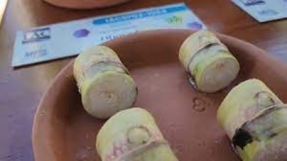 IAC destaca na 28a Agrishow a importância da gema da cana-de-açúcar