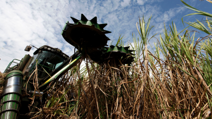 Raízen reafirma projeção de elevar moagem para 80 milhões de toneladas em 2023/24