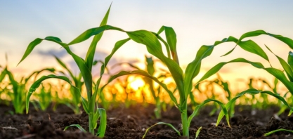 Os desafios futuros no agronegócio