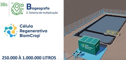 Investimento em inovações está entre os fatores responsáveis pela produção recorde da Usina Santa Clotilde
