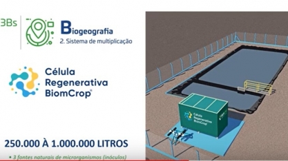 Investimento em inovações está entre os fatores responsáveis pela produção recorde da Usina Santa Clotilde