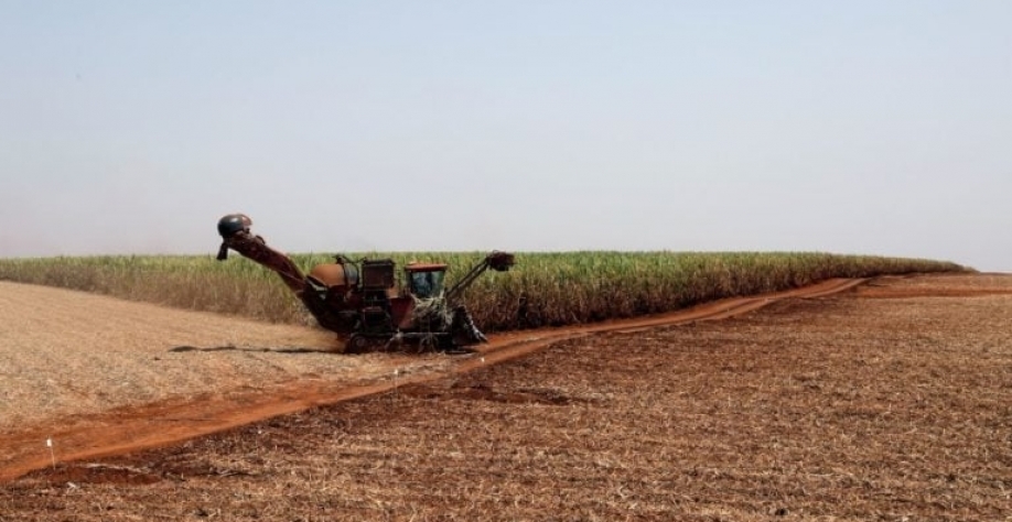 Colheita de cana-de-açúcar no interior de São Paulo. Paulo Whitaker/Reuters