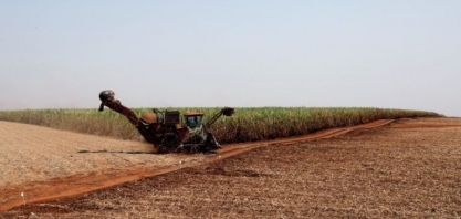 Brasil ganhará fatia no mercado global de açúcar, prevê Raízen