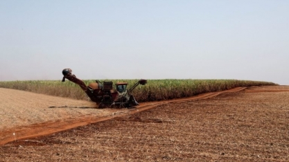 Brasil ganhará fatia no mercado global de açúcar, prevê Raízen
