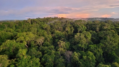 Em três anos, uso de etanol e biodiesel ‘evitou corte’ de 675 milhões de árvores