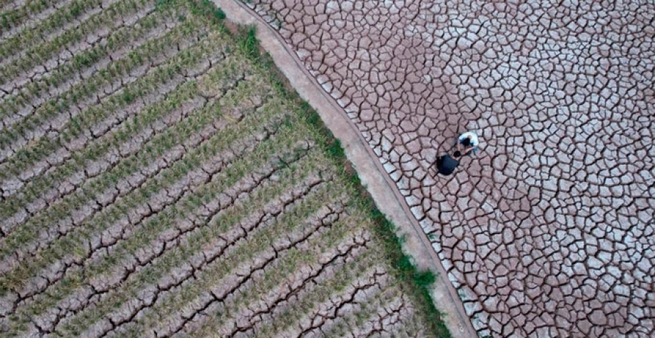 Retorno do El Niño deve trazer devastação sem precedentes para economia mundial |Seca, temperaturas extremas e interrupções no fornecimento de energia estão entre os possíveis efeitos do fenômeno(Getty Images via Bloomberg/VCG)