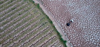 Retorno do El Niño deve trazer devastação sem precedentes para economia mundial