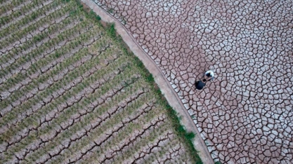 Retorno do El Niño deve trazer devastação sem precedentes para economia mundial
