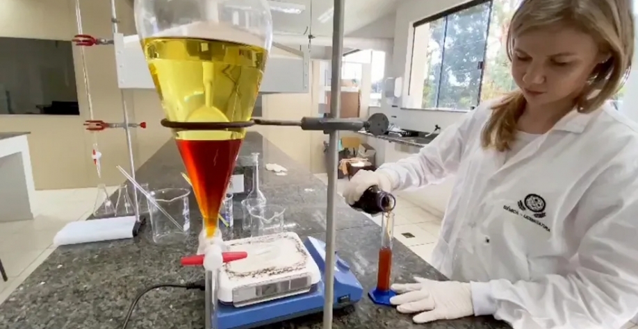 Semente de seringueira é usada para produzir biodiesel — Foto: TV TEM/Reprodução
