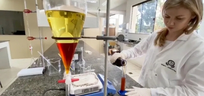 Semente de seringueira é usada para produzir biodiesel