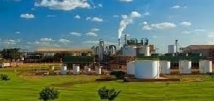 Atvos: empresa deve elevar em 16% a moagem de cana