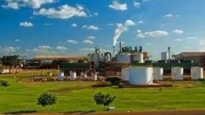 Atvos: empresa deve elevar em 16% a moagem de cana