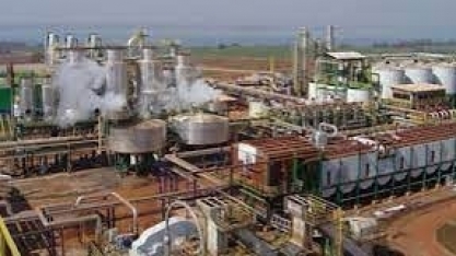 Safra na Tereos surpreende e grupo deve processar acima de 19 milhões de toneladas de cana