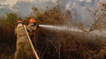 'Cooperação é fundamental para resultado efetivo contra queimadas', afirmam Bombeiros