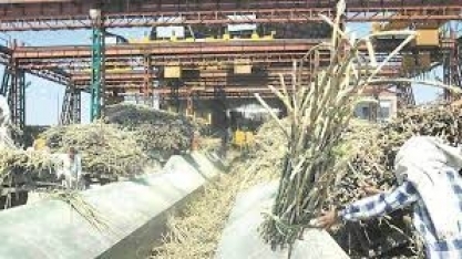 Usinas de açúcar indianas exportam cota total de 6,1 mi t
