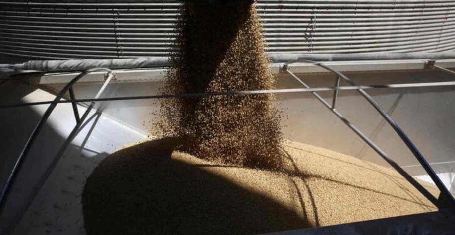 A conclusão da processadora de soja é esperada em 24 meses após o início da construção. Daniel Acker/Reuters