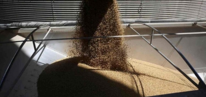 Paraná terá investimento de R$ 1,5 bilhão em processadora de soja